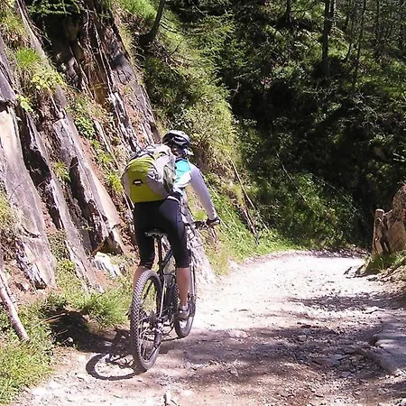 Appartement Ferienwohnung-haus-am-wald *