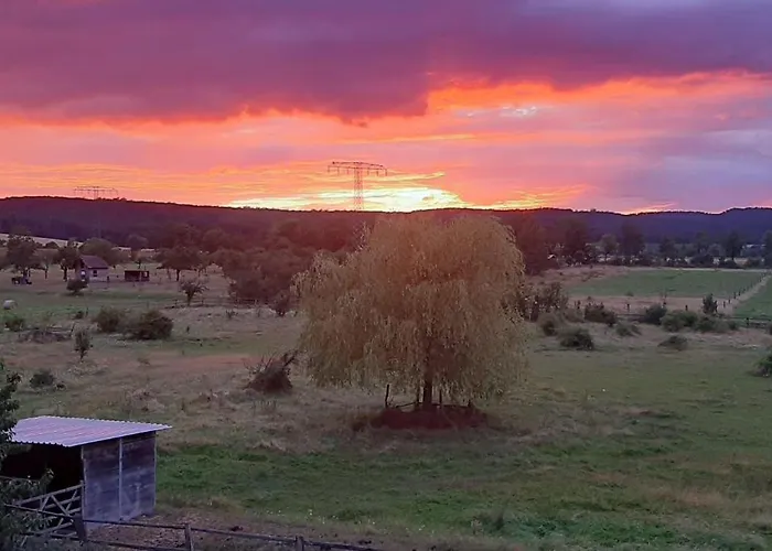 Lägenhet Ferienwohnung-haus-am-wald Wienrode