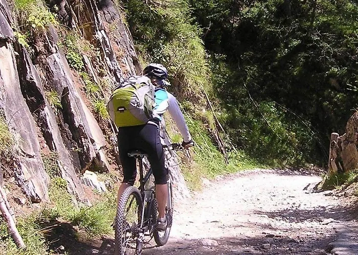 Lägenhet Ferienwohnung-haus-am-wald *