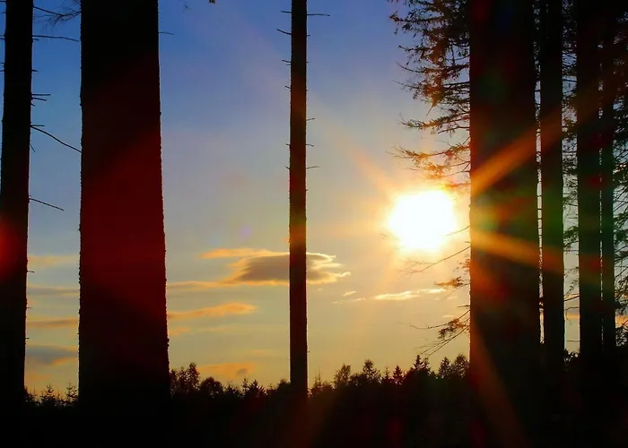 Ferienwohnung-haus-am-wald Wienrode